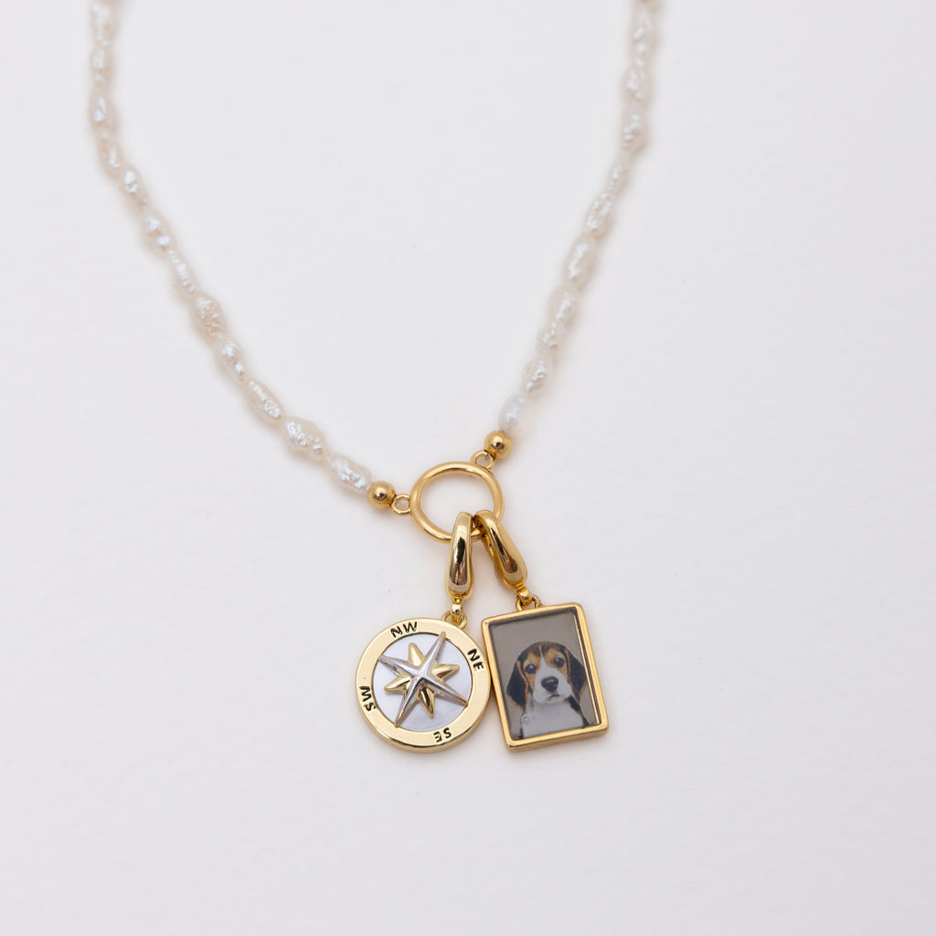 Eloise Circle Freshwater Pearl Necklace with Circle Gold - With Compass and Dog Custom Pendant