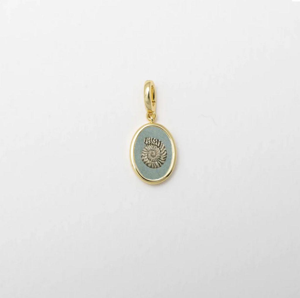 Nautilus Shell Charm Gold