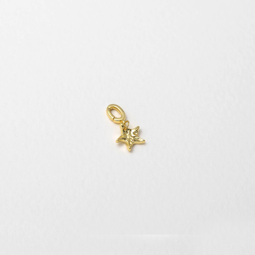 Rio Gold Star Charm